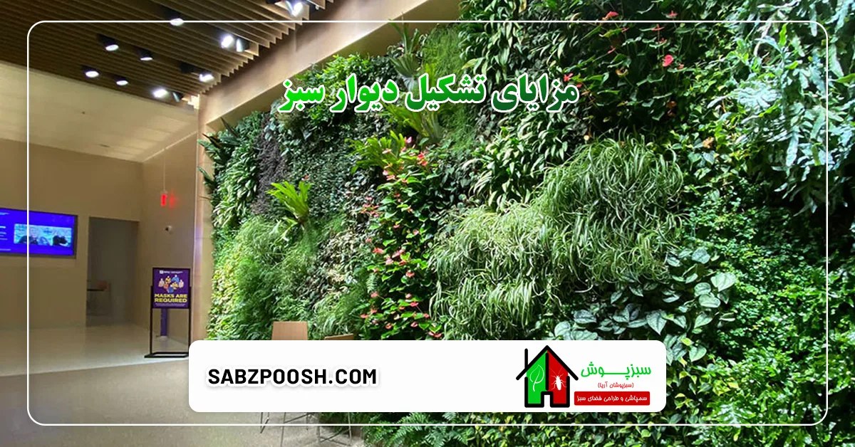 مزایای تشکیل دیوار سبز
