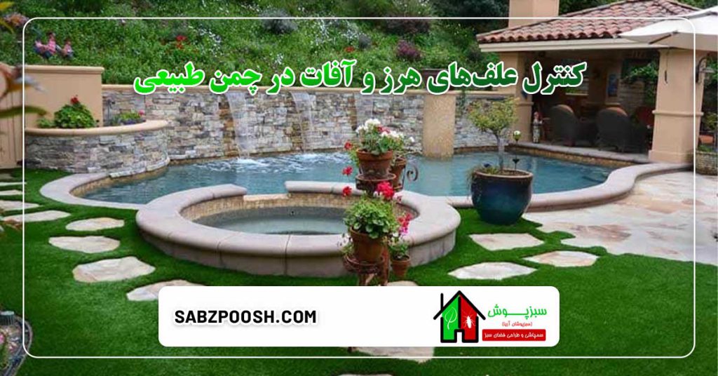 راهنمای نگهداری از چمن طبیعی در باغ های مسکونی 4 کنترل علفهای هرز و آفات در چمن طبیعی