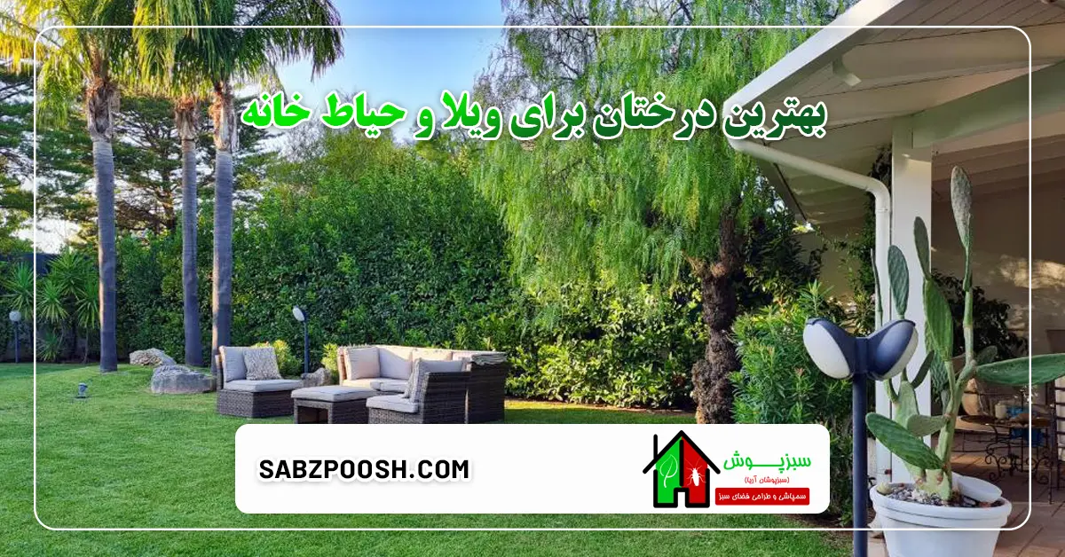 You are currently viewing بهترین درختان برای ویلا و حیاط خانه