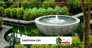 معرفی گیاهان مناسب برای آبنما 9 Read more about the article معرفی گیاهان مناسب برای آبنما