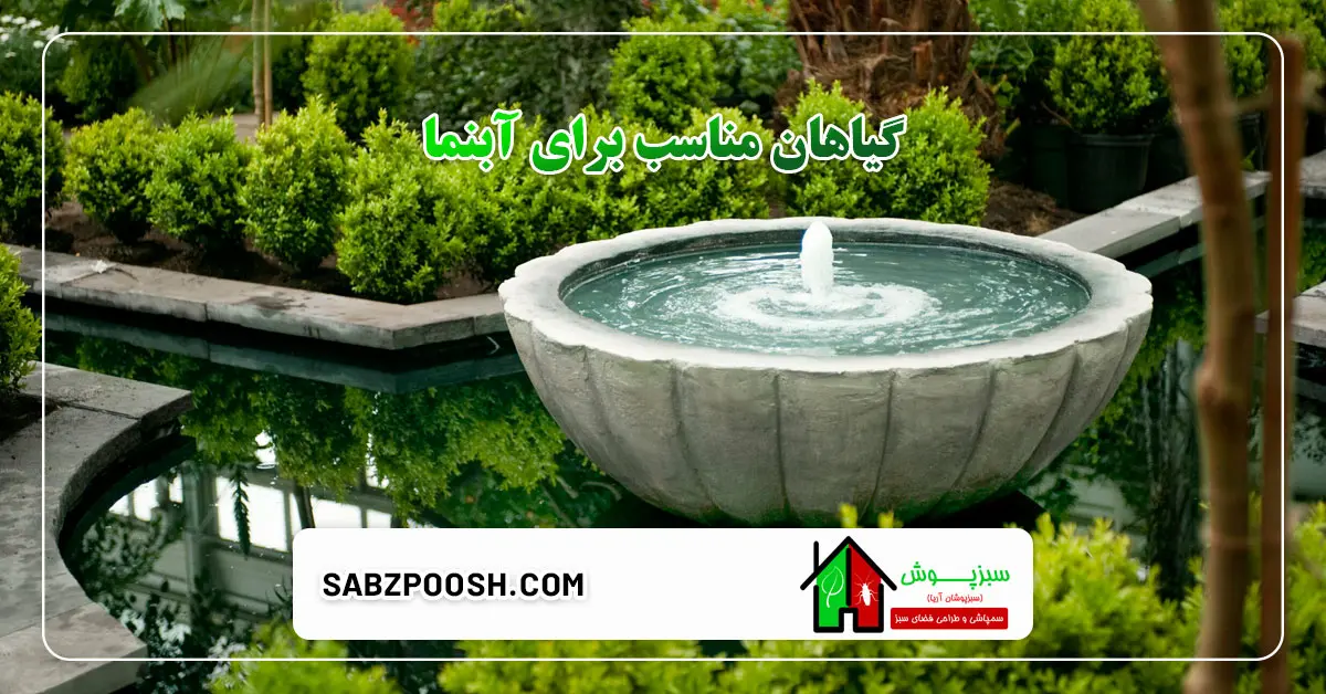Read more about the article معرفی گیاهان مناسب برای آبنما