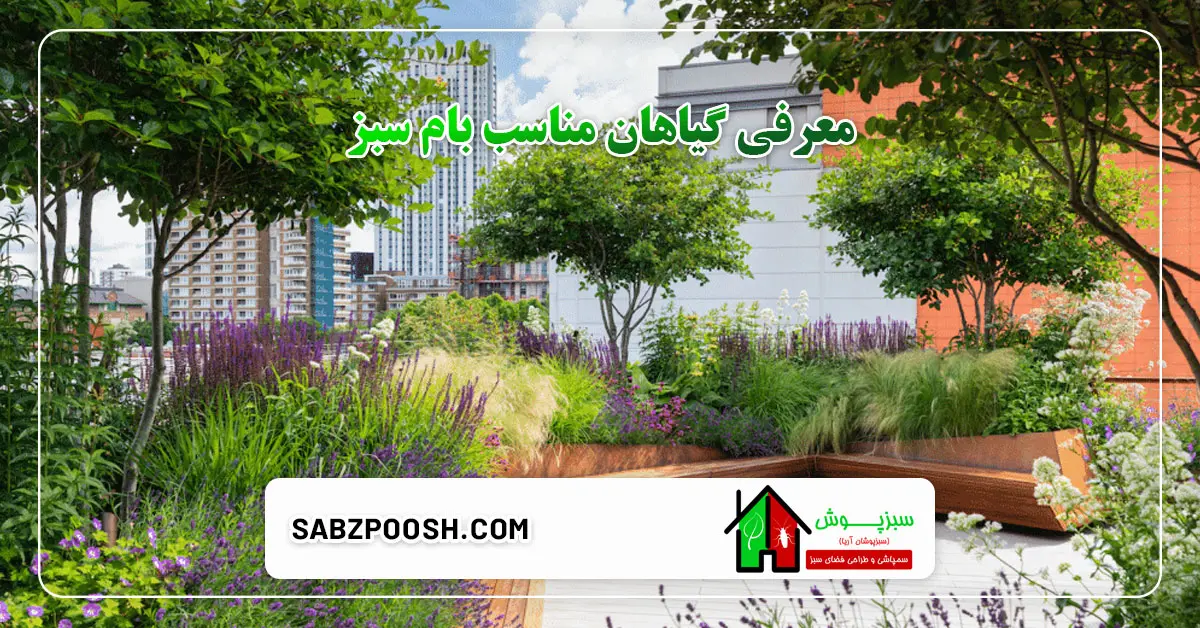 معرفی گیاهان مناسب بام سبز 1 You are currently viewing معرفی گیاهان مناسب بام سبز