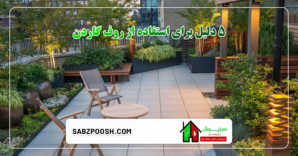 Read more about the article ۵ دلیل برای استفاده از روف گاردن