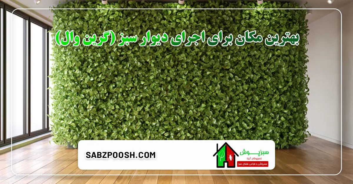 Read more about the article بهترین مکان برای اجرای دیوار سبز (گرین وال)