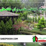 بهترین گیاهان مناسب برای خانه‌های ویلایی