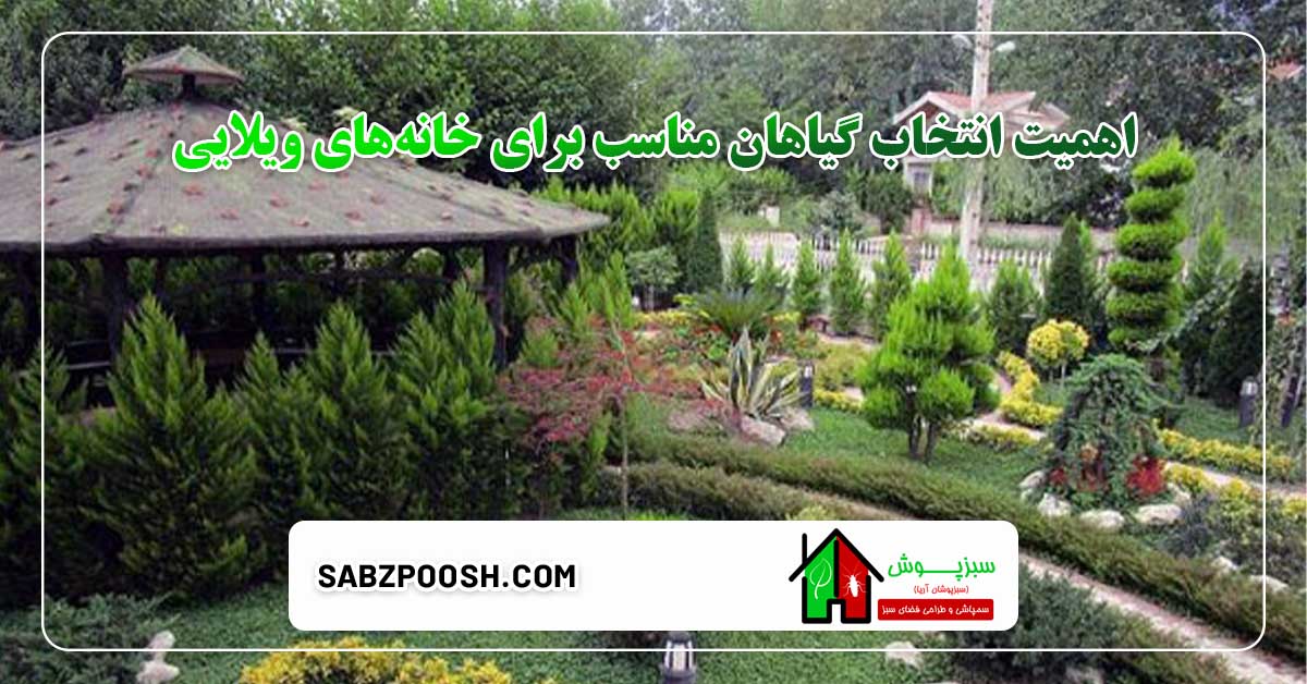 You are currently viewing بهترین گیاهان مناسب برای خانه‌های ویلایی