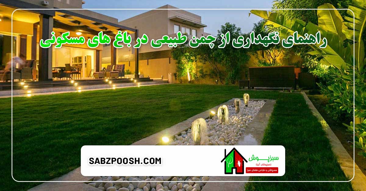 Read more about the article راهنمای نگهداری از چمن طبیعی در باغ های مسکونی