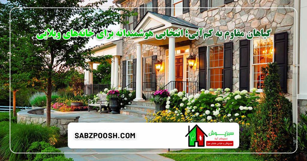 بهترین گیاهان مناسب برای خانههای ویلایی 4 گیاهان مقاوم به کمآبی؛ انتخابی هوشمندانه برای خانههای ویلایی