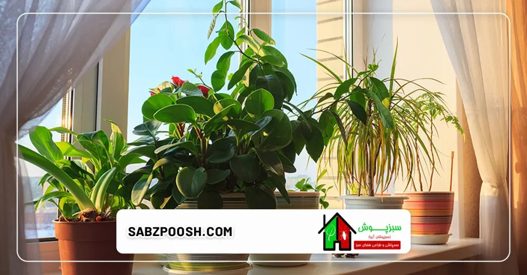 نکاتی مهم برای نگهداری از فضای سبز در فصل تابستان 3 روش نگهداری گیاهان آپارتمانی و گلدانی در تابستان
