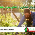 نکات مهم برای نگهداری فضای سبز در تابستان
