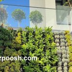 طراحی و اجرای دیوار سبز در تهران