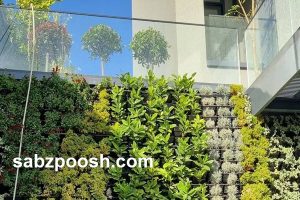طراحی و اجرای دیوار سبز در تهران