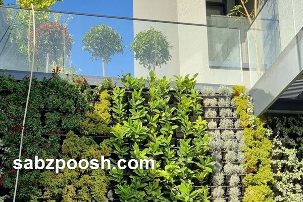 در حال حاضر در حال تماشای این مورد هستید طراحی و اجرای دیوار سبز در تهران